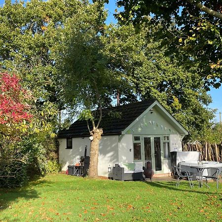 Pheasant Lodge Wimborne Minster Dış mekan fotoğraf