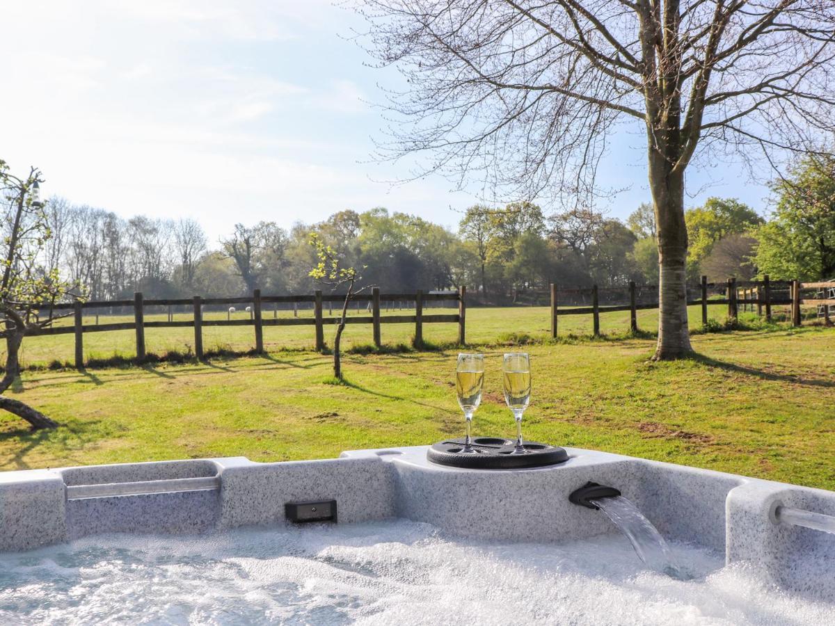 Pheasant Lodge Wimborne Minster Dış mekan fotoğraf