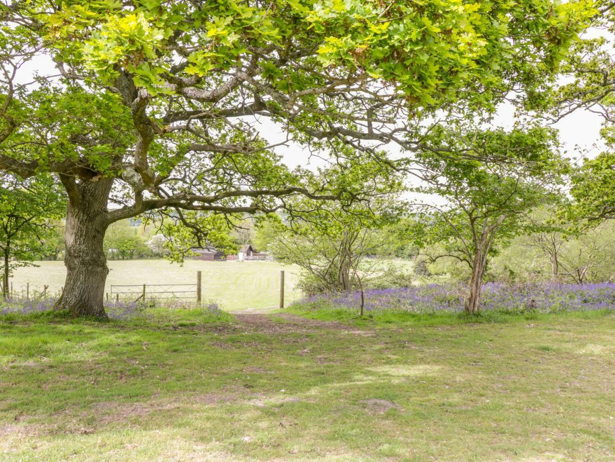 Pheasant Lodge Wimborne Minster Dış mekan fotoğraf
